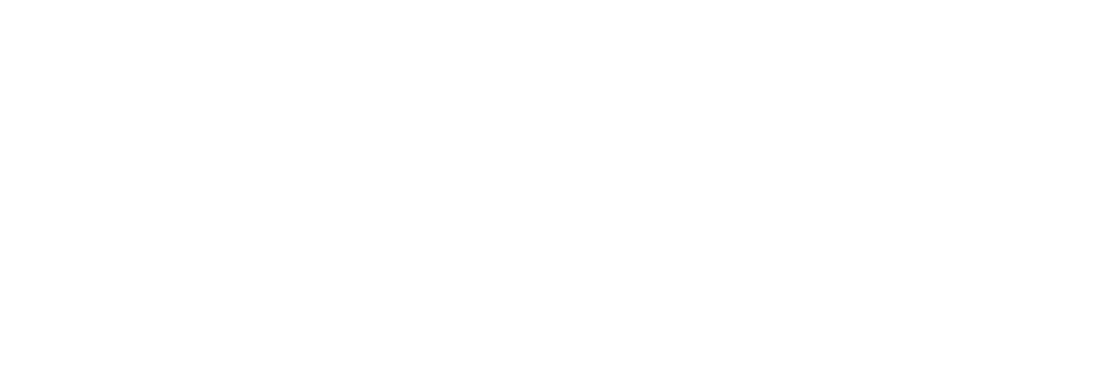 NexFrame Emerging Technologies